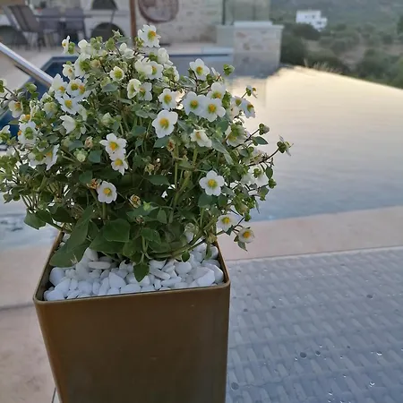 Halepouri Villa Chania (Crete)